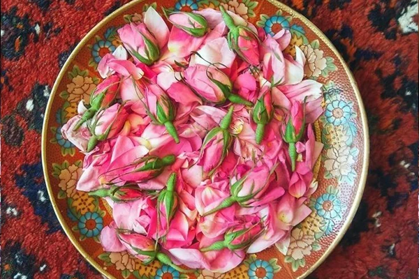 rose water benefits for face