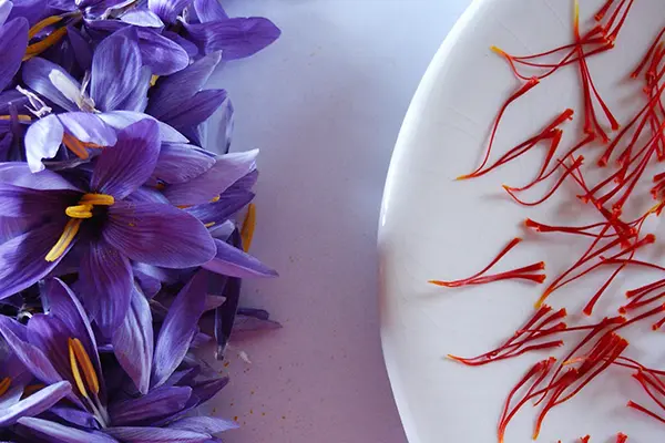 best saffron brand in Kuwait