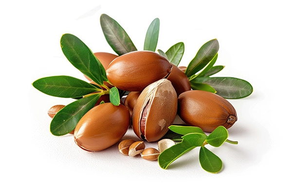 argan oil for hair