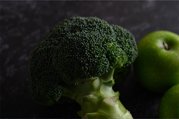 protein in vegetarian diet