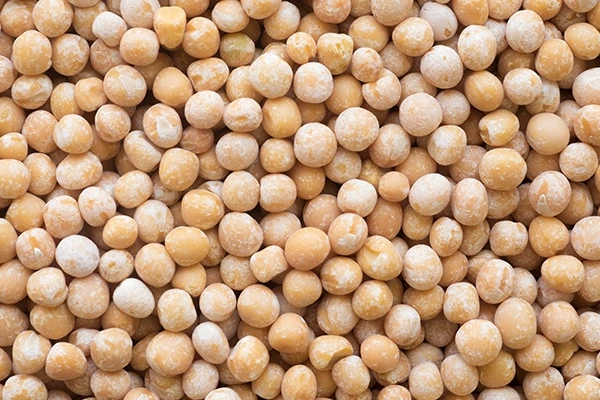 high protein vegetarian foods