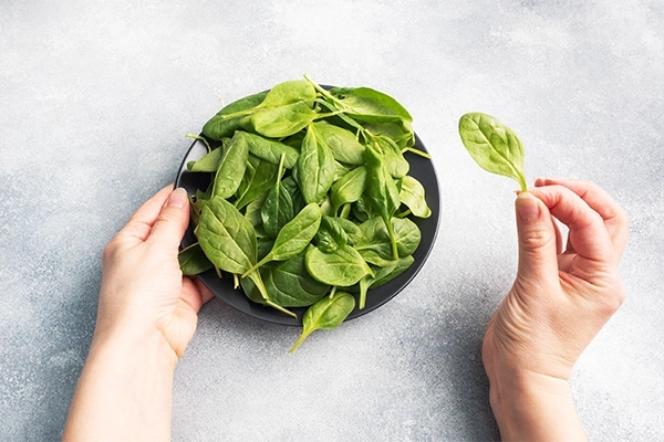 spinach nutrition