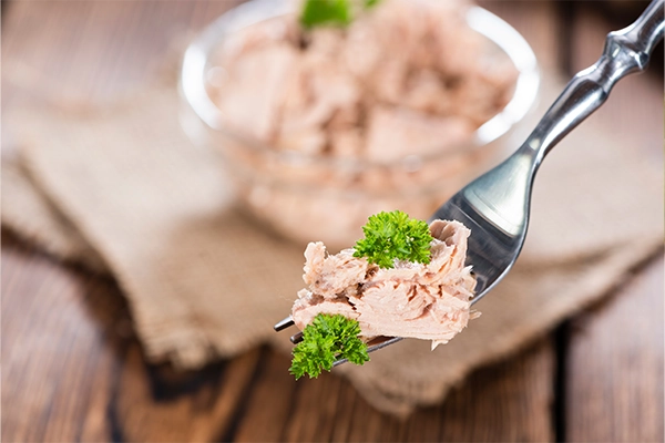 what is the best tuna