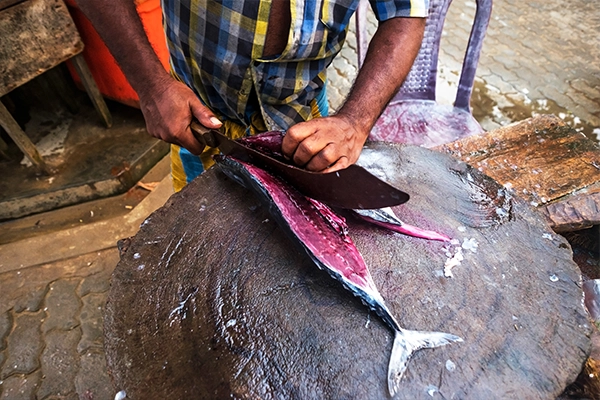 fish curry