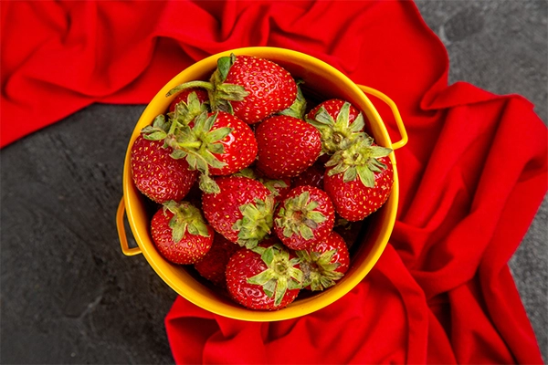 daily fruit intake
