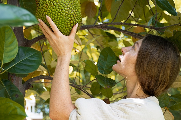 soursop benefits