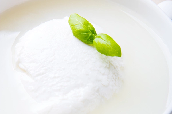 YOGURT BENEFITS