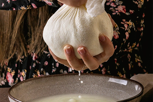 yogurt and curd difference