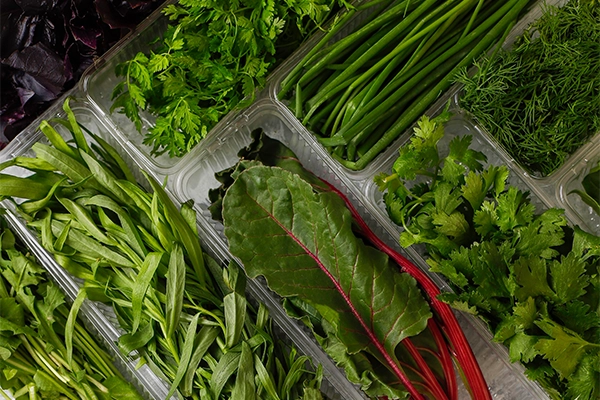 vegetable storage