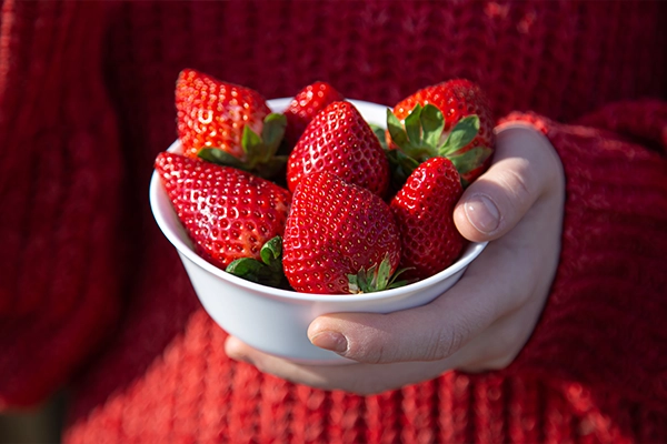 fruits for kids
