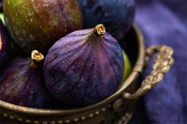 date vs fig
