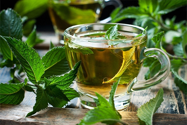 mint tea benefits
