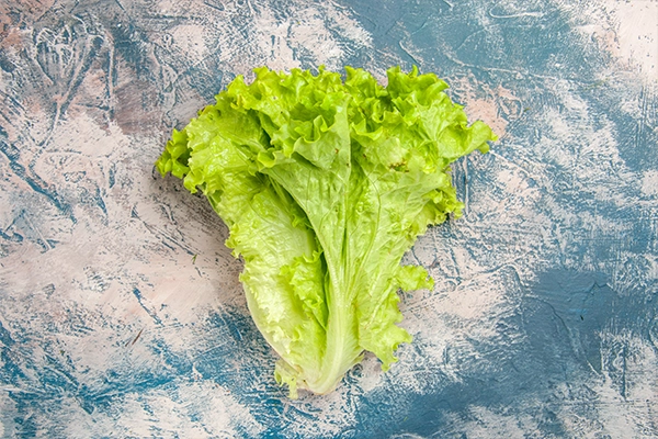 gut friendly diet