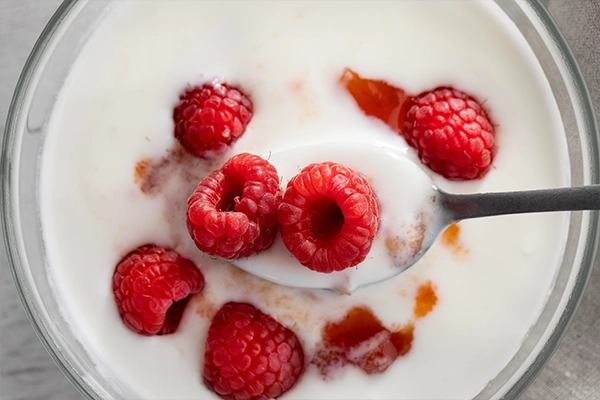 dairy vs non dairy