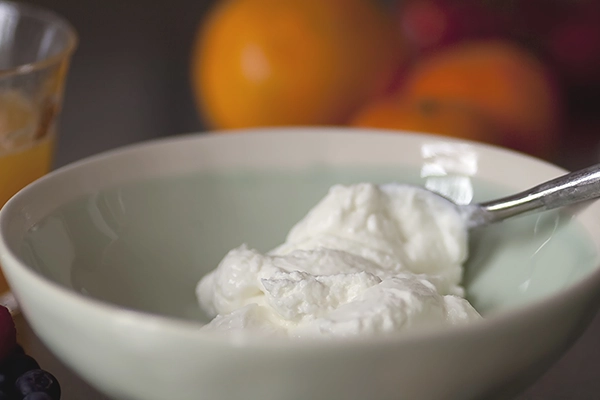 types of yogurt