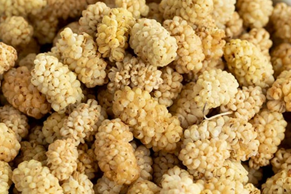 Dried Mulberries Benefits