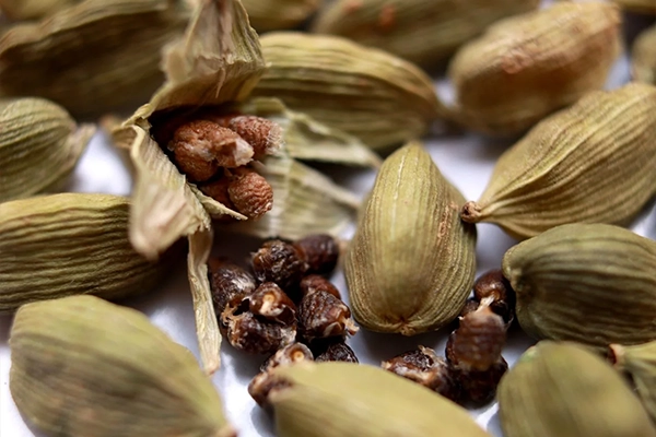cardamom benefits
