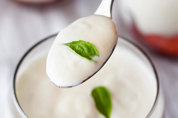 homemade yogurt vs store bought